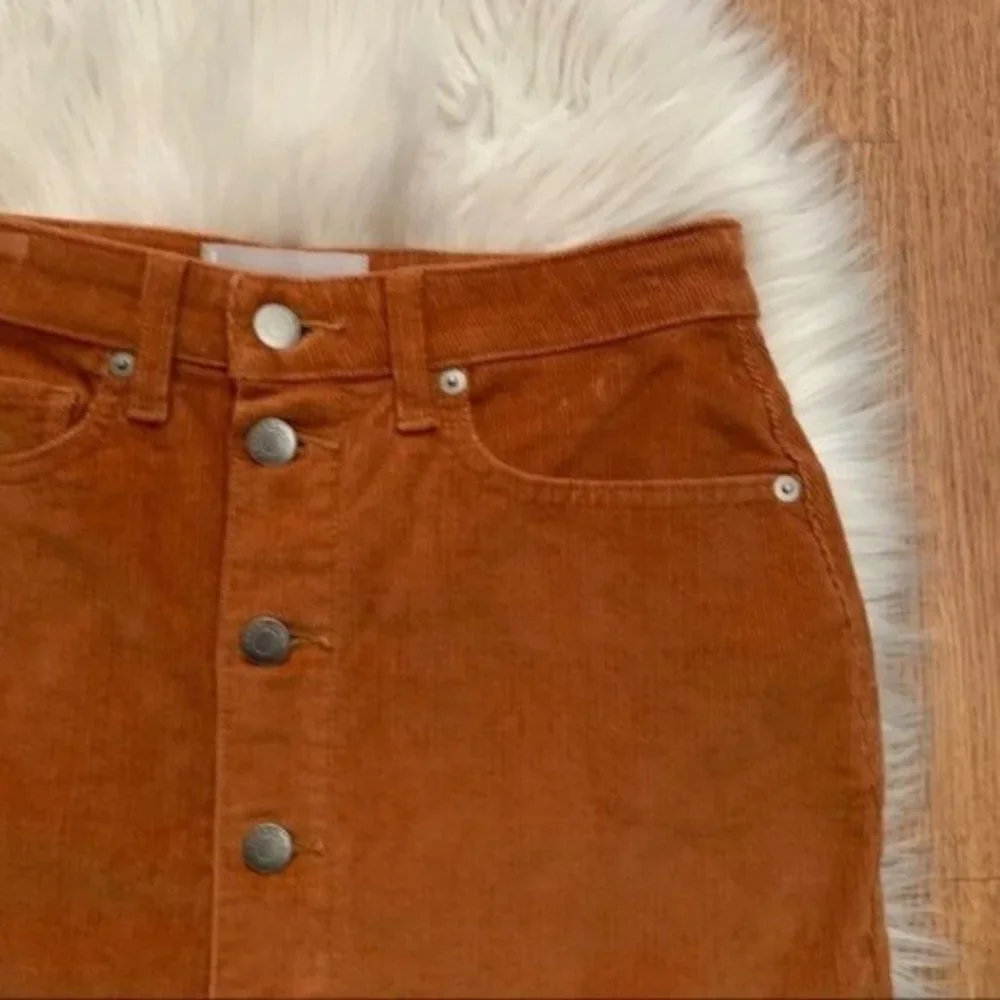 Everlane Skirt